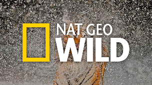 NAT Geo Wild