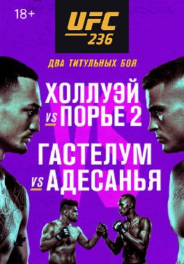 UFC 236