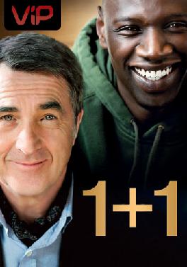 1+1