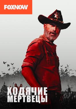 Ходячие мертвецы. Сезон 9. Серия 6